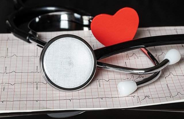 The cardiovascular disease is a common name for all the diseases related to the heart. (Image Source: Pixabay)