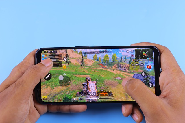 The government of India banned the PUBG mobile app and PUBG mobile lite. (Image Source: Pixabay